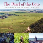 The Ultimate Book List for Burgundy Fans 勃艮第粉丝的必备书单