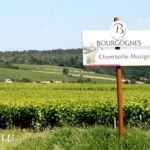 Chambolle Musigny Villages and its “Amoureuses”香波蜜思妮村的爱侣情结